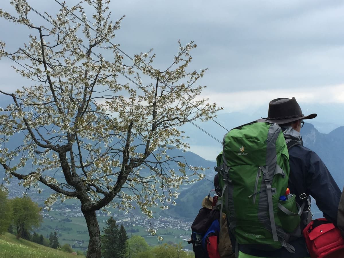 Pfingstwanderung 2015